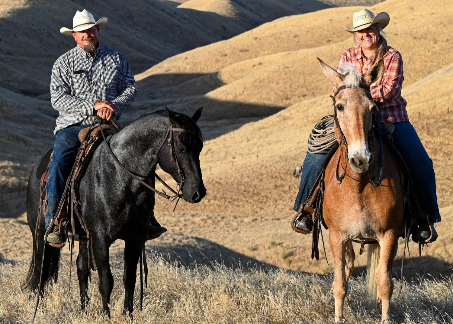 2 riders on horse and mule in rolling foothills