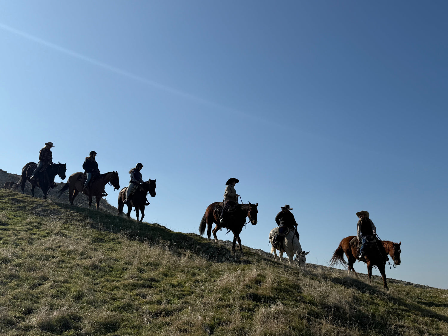 Cowgirl Campouts