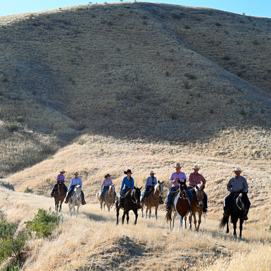 Ranch Riding