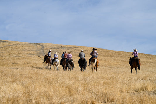 Additional horse