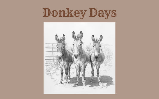 Spectator Pass – Donkey Days at Non-Pareil Ranch