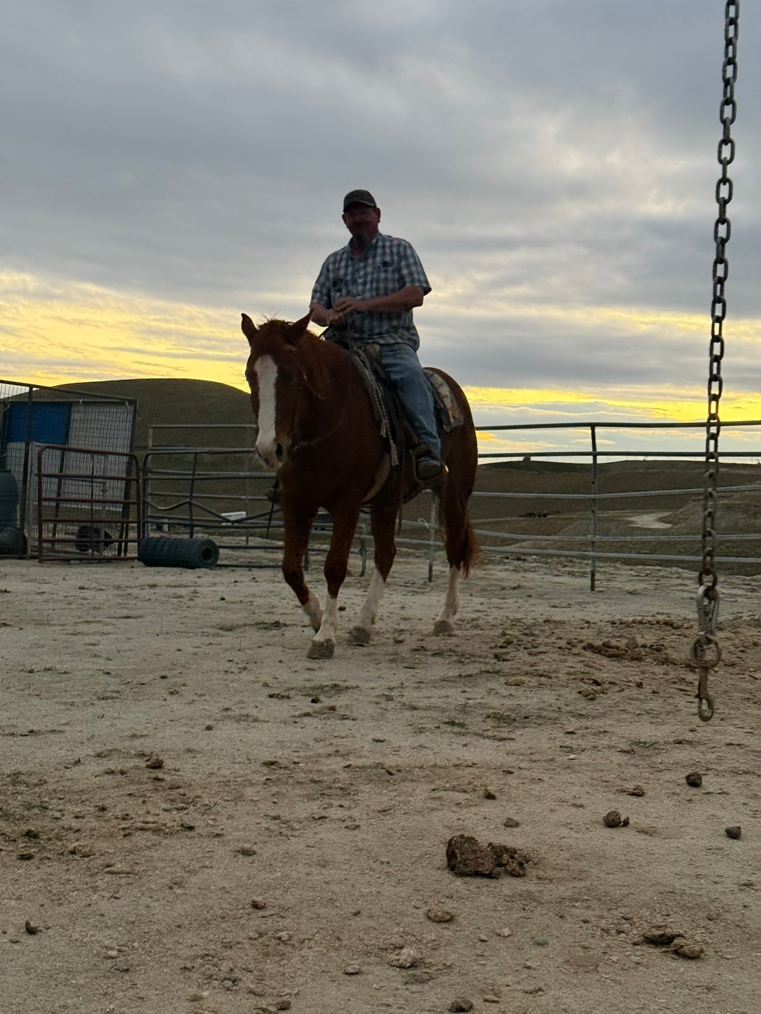 man riding colt