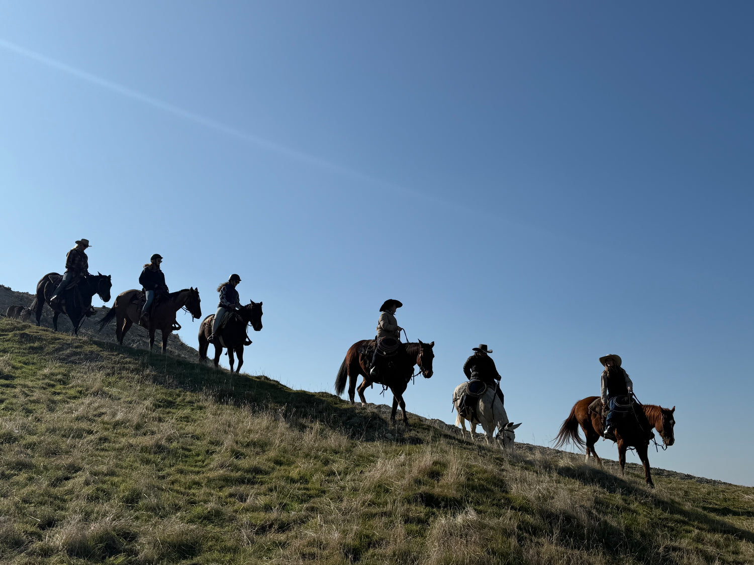 horseback riders riding down hill with blue sky background