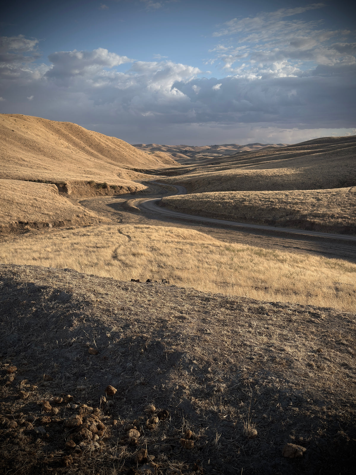 A winding dirt road cuts through dry, rolling hills under a blue sky with dramatic clouds. The foreground shows dark, rocky ground with sparse dry grass, while the background consists of golden-brown and tan hills fading into distant mountains.