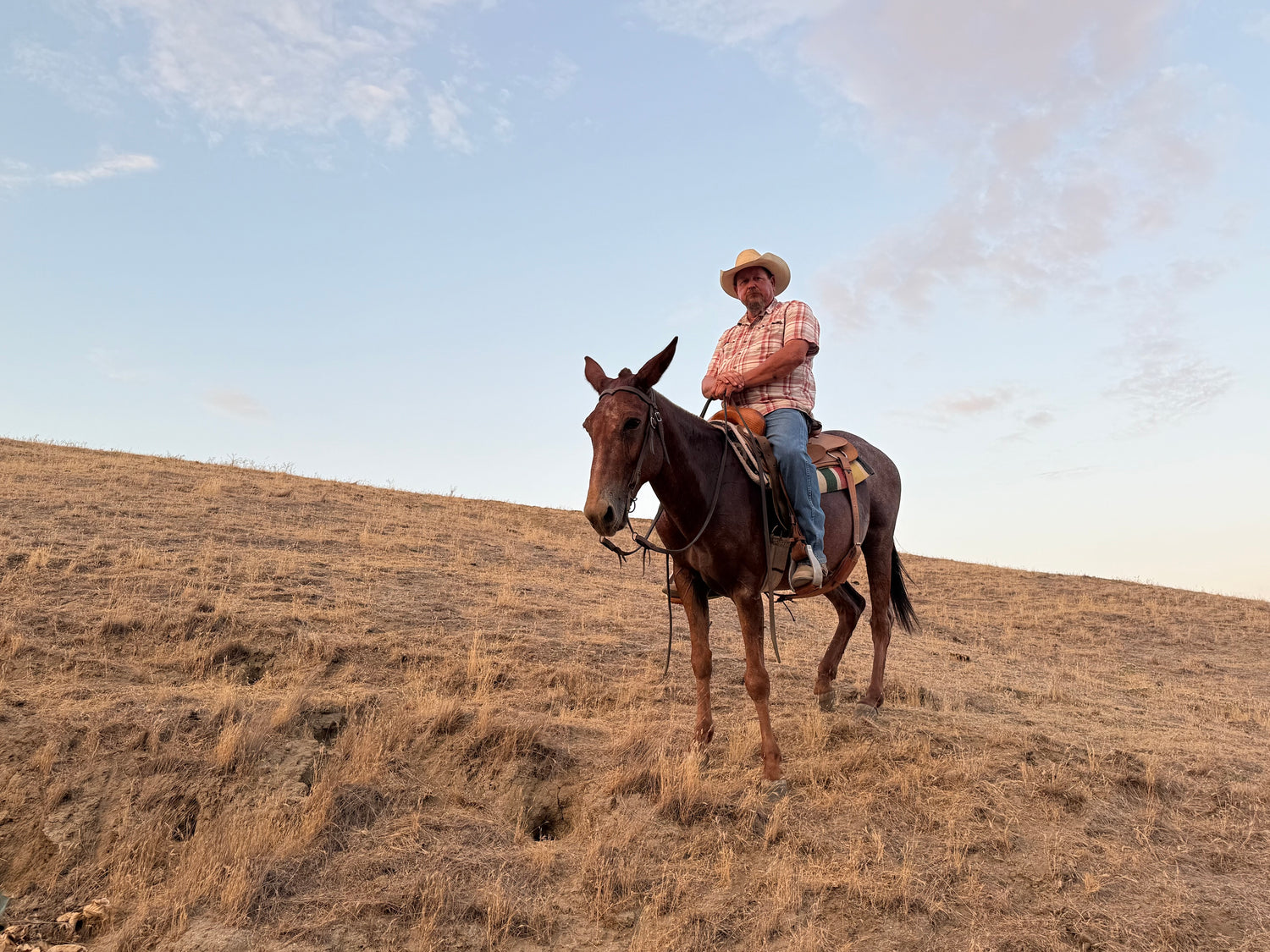 man riding mule standing on hillside with dry grass and cloudy sky behind them