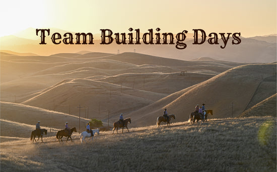 Team Building Days – Non-Pareil Ranch